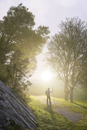 Ranger in der Morgendämmerung - Foto: Naturpark Arnsberger Wald / Klaus-Peter Kappest Ranger in der Morgendämmerung - Foto: Naturpark Arnsberger Wald / Klaus-Peter Kappest