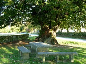 Freigerichtsplatz mit alter Linde in Büecke. Foto: M. Schauerte Freigerichtsplatz mit alter Linde in Büecke. Foto: M. Schauerte