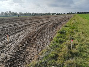 Kommunale Flächen werden mit Pflöcken markiert, um die Grenze zwischen Ackerfläche und kommunalen Wegsaum zu verdeutlichen. Foto: UNB/ Kreis Soest Kommunale Flächen werden mit Pflöcken markiert, um die Grenze zwischen Ackerfläche und kommunalen Wegsaum zu verdeutlichen. Foto: UNB/ Kreis Soest