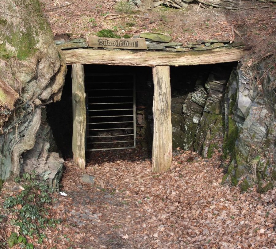 Eingang zu altem Schieferstollen.