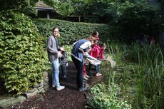 Kinder erforschen einen Tümpel - Foto: LIZ