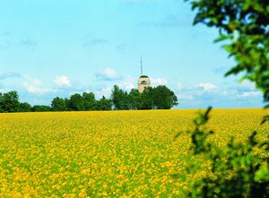 Der Bismarckturm - Foto: Möhnesee Touristik 