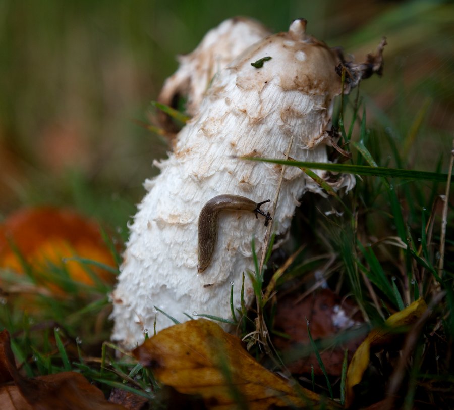 © Tim Seiffert © Tim Seiffert