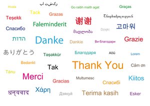 Danke in 39 Sprachen. Foto: © unaoli - Fotolia