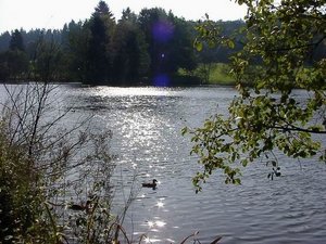 Der Bibersee in Rüthen - Foto: Touristik- und Stadtmarketing Rüthen Der Bibersee in Rüthen - Foto: Touristik- und Stadtmarketing Rüthen
