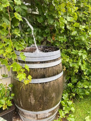 Foto einer Regentonne.