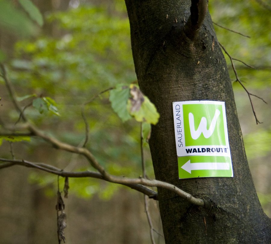 Das weiße W auf grünem Grund markiert den Wanderweg "Sauerland-Waldroute" - Foto: Sauerland-Tourismus e.V.