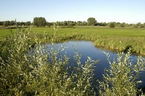 Stockheimer Bruch. Foto: Thomas Weinstock/ Kreis Soest Kleiner Teich. Foto: Thomas Weinstock/ Kreis Soest