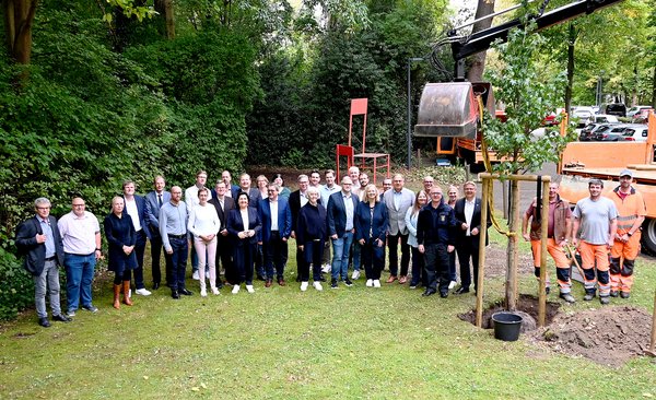 Baum gepflanzt Baum gepflanzt