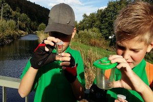 Spinnensafari - Foto: NaturRanger Kinder schauen in einer Becherlupe auf Spinnen - Foto: NaturRanger