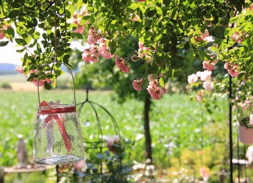 Grüne Oasen entdecken