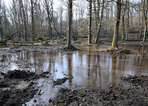 Insgesamt 48 Kilometer Entwässerungsgräben werden bis Ende 2027 zurückgebaut. Zwischen Torhaus und Jagdschloss Sankt Meinolf ist der Erfolg der Maßnahme bereits sichtbar. Foto: Susanne Schulte-Nölle/ Kreis Soest Insgesamt 48 Kilometer Entwässerungsgräben werden bis Ende 2027 zurückgebaut. Zwischen Torhaus und Jagdschloss Sankt Meinolf ist der Erfolg der Maßnahme bereits sichtbar. Foto: Susanne Schulte-Nölle/ Kreis Soest
