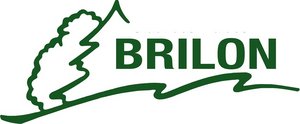 Logo Brilon