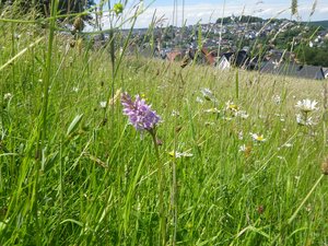 Kulissenerweiterung. Foto: Marko Kneisz/Kreis Soest Kulissenerweiterung. Foto: Marko Kneisz/Kreis Soest