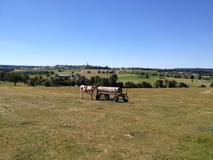 Erhaltenswerte Kulturlandschaft bei Warstein-Hirschberg. Foto: UNB/ Kreis Soest