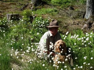 Foto: Zweckverband Naturpark Arnsberger Wald Ranger mit Hund in Wollgras. Foto: Zweckverband Naturpark Arnsberger Wald