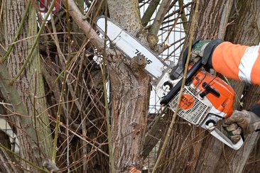 Sperrung verlängert