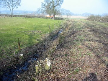 Rücksicht auf brütende Vögel