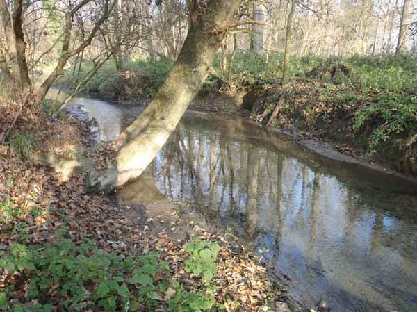 Die Ahse. Foto: Anette Kühlmann/ Kreis Soest Der Fluss Ahse. Foto: Anette Kühlmann/ Kreis Soest