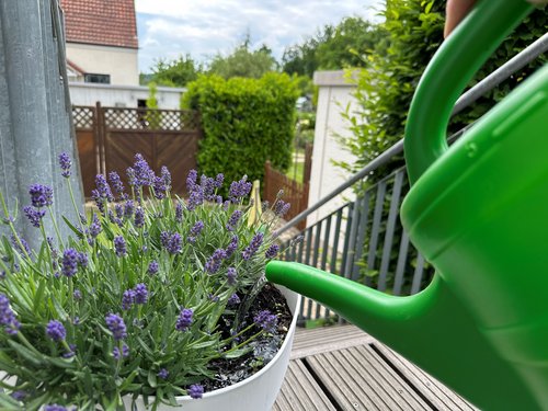 Überlegt gießen Überlegt gießen