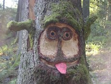 Waldgeist - Foto: Touristik-und Stadtmarketing Rüthen Waldgeist im Baum - Foto: Touristik-und Stadtmarketing Rüthen