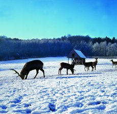 Foto: Möhnesee Touristik 