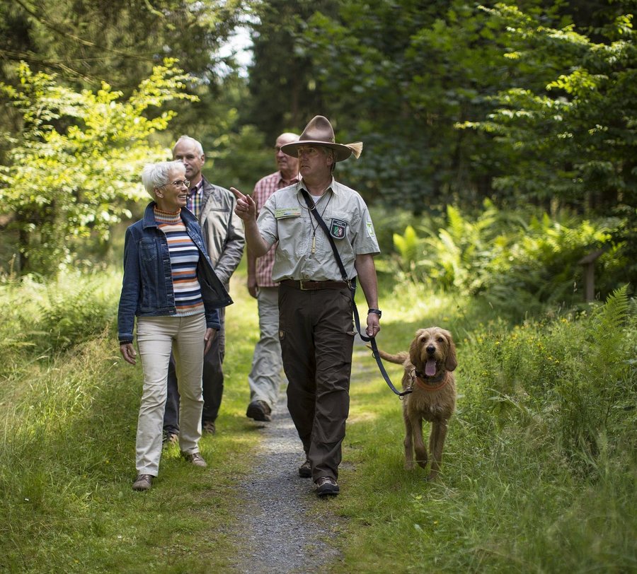 Jörg führt eine Gruppe von Menschen durch den Wald - Foto: Sabrinity / Sabrina Voss