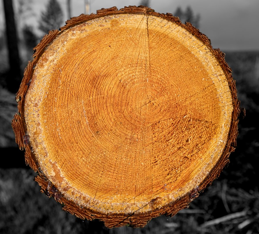 © Tim Seiffert © Tim Seiffert