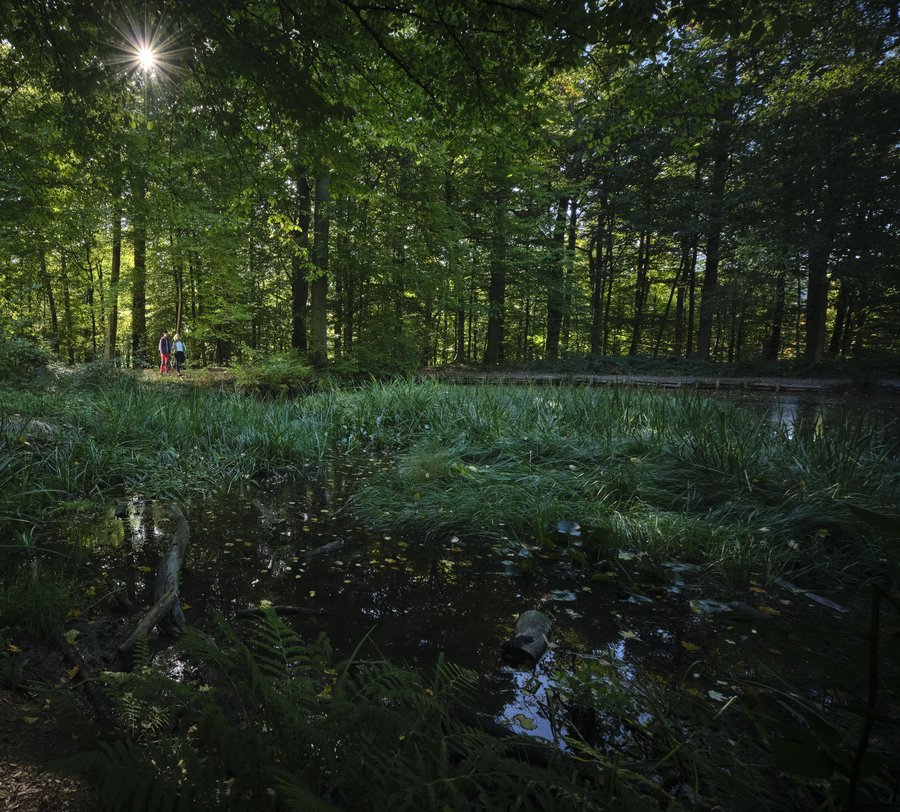 Foto: Sauerland-Tourismus e.V./Klaus-Peter Kappest/REACT EU Foto: Sauerland-Tourismus e.V./Klaus-Peter Kappest/REACT EU