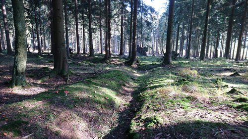Entwässerungsgraben Entwässerungsgraben