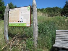 Sagentafel - Foto: Zweckverband Naturpark Arnsberger Wald Sagentafel am Wegesrand - Foto: Zweckverband Naturpark Arnsberger Wald