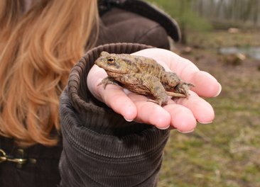 Vielfältige Aufgaben