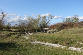 Blick ins das Naturschutzgebiet Talsystem der Pöppelsche. Foto: ABU Blick ins das Naturschutzgebiet Talsystem der Pöppelsche. Foto: ABU