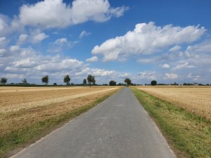 Feldfluraspekt im August - gemähte Wegränder; wenig Aufwuchs; kaum Blühaspekt. So fehlen wichtige Lebens- und Rückzugsräume für Insekten und andere Tier- und Pflanzenarten. Foto: UNB/ Kreis Soest Feldfluraspekt im August - gemähte Wegränder; wenig Aufwuchs; kaum Blühaspekt. So fehlen wichtige Lebens- und Rückzugsräume für Insekten und andere Tier- und Pflanzenarten. Foto: UNB/ Kreis Soest