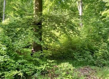 Kraft schöpfen in und aus der Natur