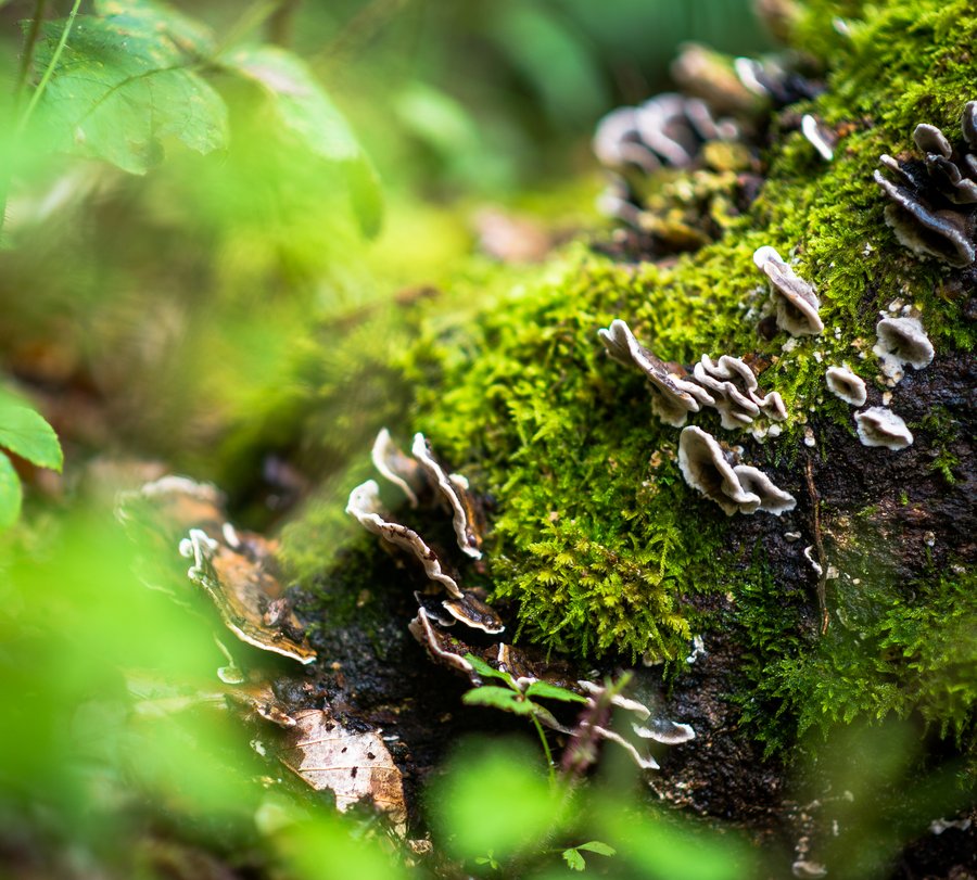 Foto: Daniel Schröder