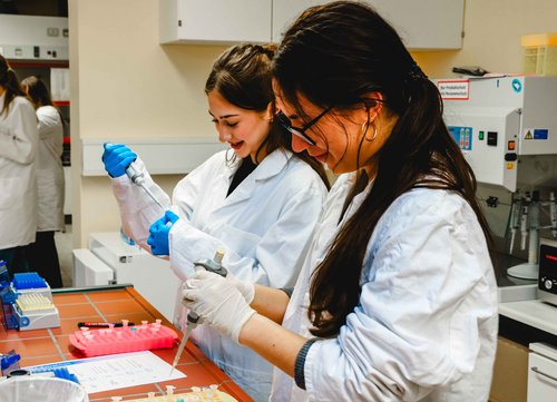 Labor statt Klassenzimmer