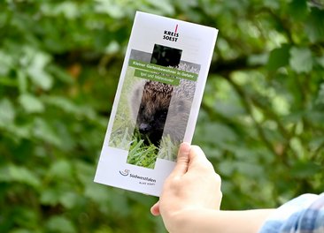 Kleiner Gartenbewohner