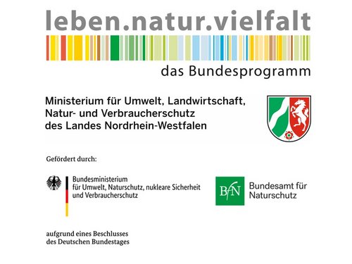 Mehrere Logos: Logo "leben.natur.vielfalt - das Bundesprogramm" vom Ministerium für Umwelt, Landschaft, Natur- und Verbraucherschutz des Landes Nordrhein-Westfalen; Logo vom Bundesministerium für Umwelt, Naturschutz, nukleare Sicherheit und Verbrauchers Mehrere Logos: Logo "leben.natur.vielfalt - das Bundesprogramm" vom Ministerium für Umwelt, Landschaft, Natur- und Verbraucherschutz des Landes Nordrhein-Westfalen; Logo vom Bundesministerium für Umwelt, Naturschutz, nukleare Sicherheit und Verbraucherschutz; Logo vom Bundesamt für Naturschutz