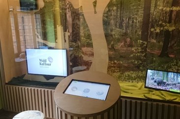 Foto: Naturpark Arnsberger Wald Foto: Naturpark Arnsberger Wald