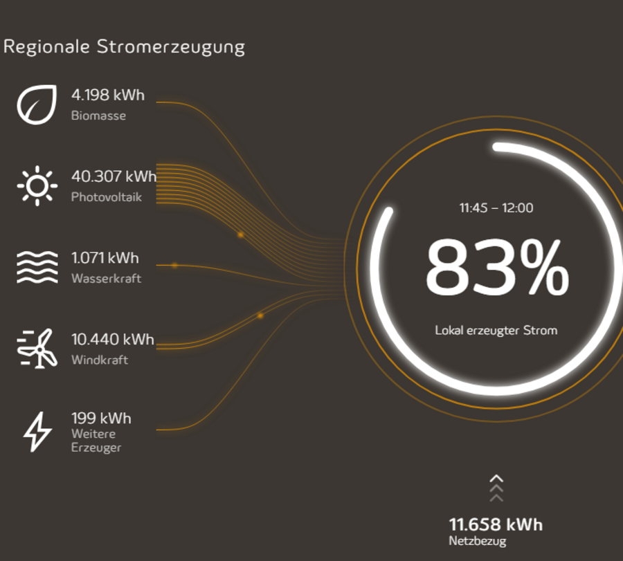 So sieht der Energiemonitor aus. Screenshot: Julian Richter/Kreis Soest