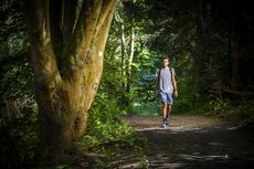 Wanderer auf der Sauerland-Waldroute - Foto: Sauerland-Tourismus e.V. / Klaus-Peter Kappest Unterwegs auf der Sauerland-Waldroute - Foto: Sauerland-Tourismus e.V. / Klaus-Peter Kappest