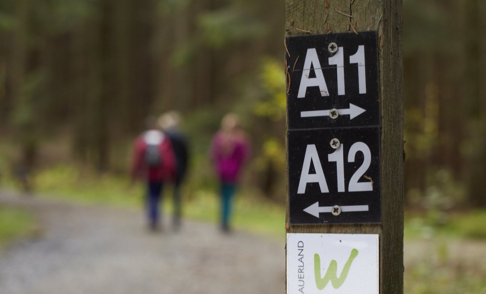 Markierungszeichen am Möhnesee - Foto: Vorholt
