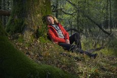 Unterwegs auf der Sauerland-Waldroute - Foto: Zweckverband Naturpark Arnsberger Wald / Klaus-Peter Kappest Erholung in der Natur auf der Sauerland-Waldroute - Foto: Zweckverband Naturpark Arnsberger Wald / Klaus-Peter Kappest