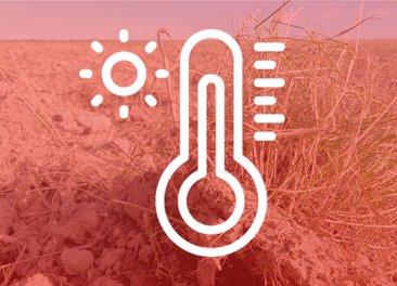 Im Hintergrund ist ein vertrocknetes Feld zu sehen mit trockener Erde und einem kleinen Büschel trockenem Gras auf der rechten Seite. Das Bild ist rötlich gehalten, um Wärme/Hitze zu symbolisieren. In der Mitte des Bildes ist ein Pictogramm zu sehen, was ein Thermometer zeigt und eine Sonne. Es soll für Hitze stehen. 