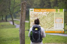 Wanderin im Bibertal - Foto: Naturpark Arnsberger Wald / Klaus-Peter Kappest Wanderin informiert sich über den Wanderweg - Foto: Naturpark Arnsberger Wald / Klaus-Peter Kappest