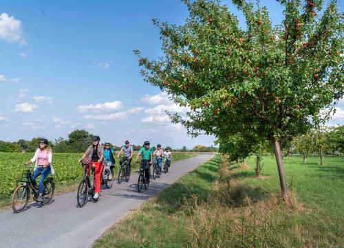 „3-Schlösser-Tour“ genießen „3-Schlösser-Tour“ genießen