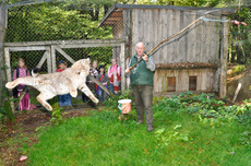 Foto: Zweckverband Naturpark Arnsberger Wald 