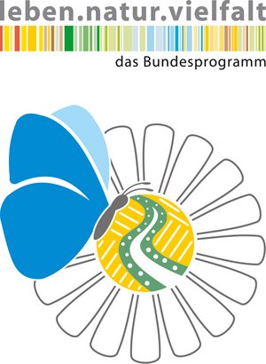 Das Logo des Projekts "Rückgewinnung und ökologische Optimierung kommunaler Flächen - Schaffung neuer Lebensräume für Insekten" mit Margerite, Schmetterling, Acker und Feldsaum". Darüber findet sich das Logo des Förderprogramms. Das Logo des Projekts "Rückgewinnung und ökologische Optimierung kommunaler Flächen - Schaffung neuer Lebensräume für Insekten" mit Margerite, Schmetterling, Acker und Feldsaum". Darüber findet sich das Logo des Förderprogramms.
