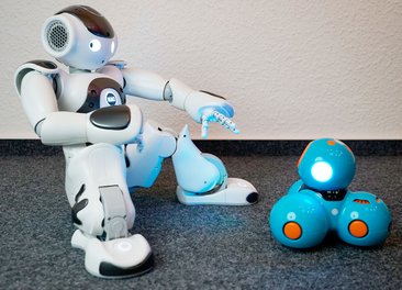 Da hat Langeweile keine Chance